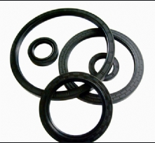 TC skeleton oil seal
