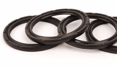 PZ pneumatic Piston Seal