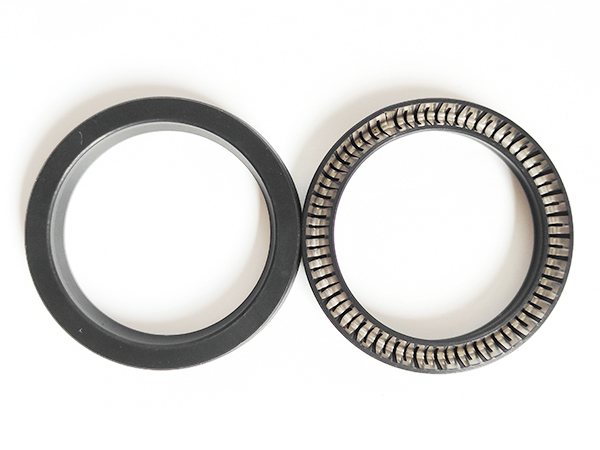 The Plug Seal